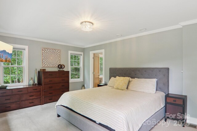 17 Azalea Ter, Asheville, NC 28803 - photo 17