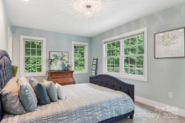 17 Azalea Ter, Asheville, NC 28803 - photo 21