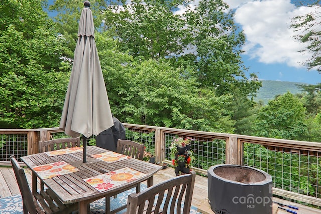 17 Azalea Ter, Asheville, NC 28803 - photo 41
