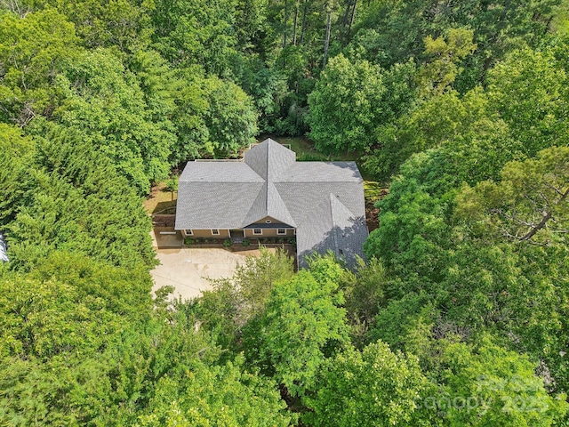 17 Azalea Ter, Asheville, NC 28803 - photo 45