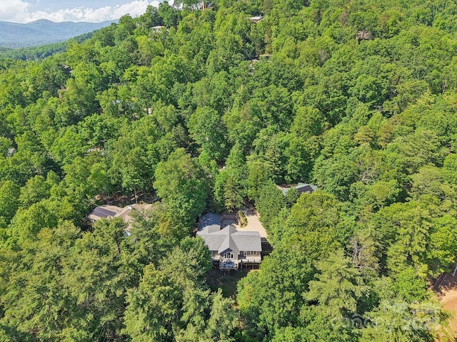 17 Azalea Ter, Asheville, NC 28803 - photo 46