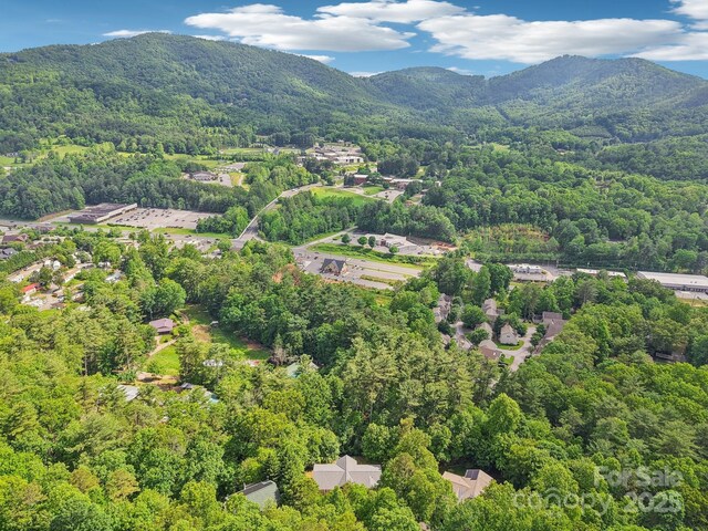 17 Azalea Ter, Asheville, NC 28803 - photo 47