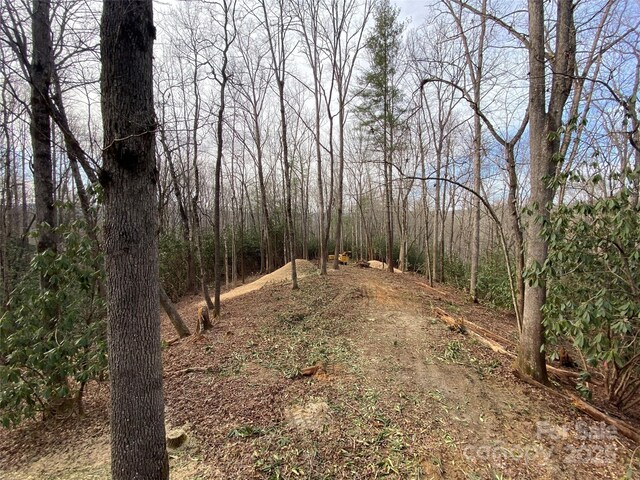 LOT1 Dundee Ln Unit 1 & 2, Pisgah Forest, NC 28768