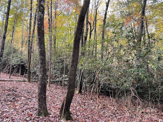 LOT1 Dundee Ln Unit 1 & 2, Pisgah Forest, NC 28768