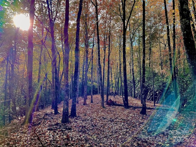 LOT1 Dundee Ln Unit 1 & 2, Pisgah Forest, NC 28768