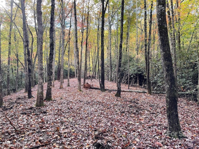 LOT1 Dundee Ln Unit 1 & 2, Pisgah Forest, NC 28768