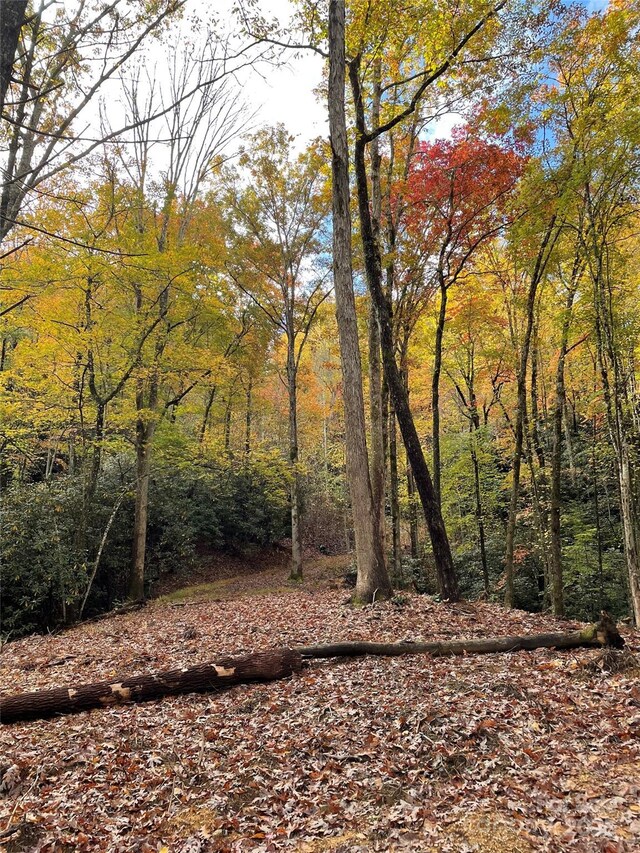 LOT1 Dundee Ln Unit 1 & 2, Pisgah Forest, NC 28768