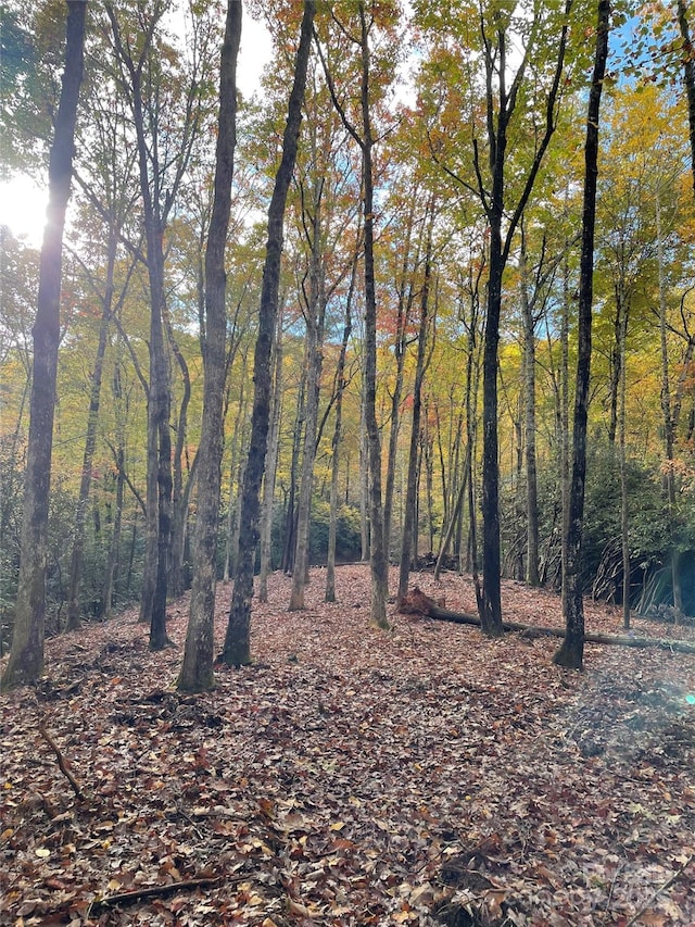 LOT1 Dundee Ln Unit 1 & 2, Pisgah Forest, NC 28768