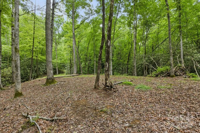 LOT1 Dundee Ln Unit 1 & 2, Pisgah Forest, NC 28768