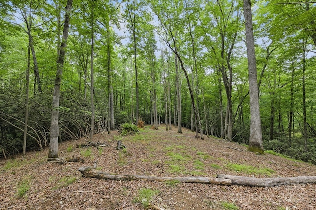 LOT1 Dundee Ln Unit 1 & 2, Pisgah Forest, NC 28768