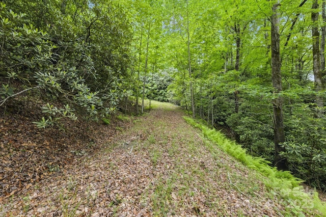 LOT1 Dundee Ln Unit 1 & 2, Pisgah Forest, NC 28768