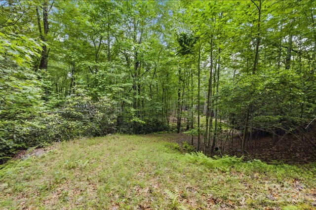 LOT1 Dundee Ln Unit 1 & 2, Pisgah Forest, NC 28768