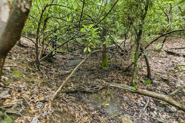 LOT1 Dundee Ln Unit 1 & 2, Pisgah Forest, NC 28768