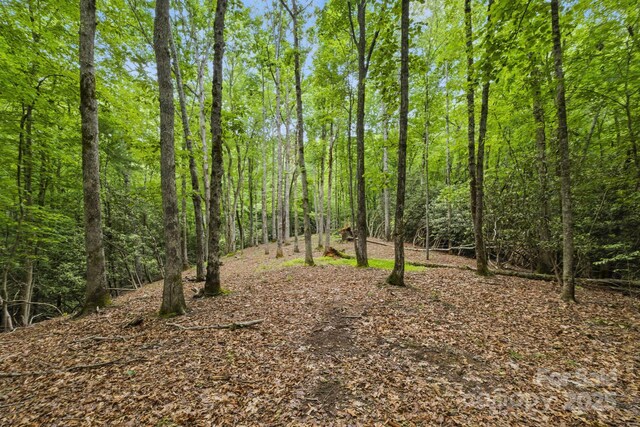 LOT1 Dundee Ln Unit 1 & 2, Pisgah Forest, NC 28768