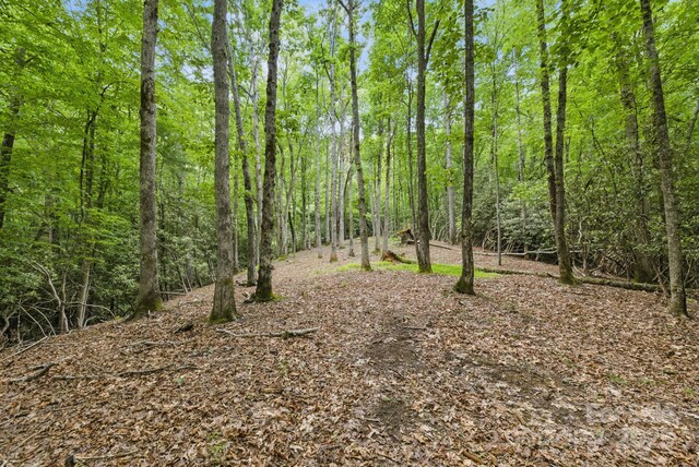LOT1 Dundee Ln Unit 1 & 2, Pisgah Forest, NC 28768
