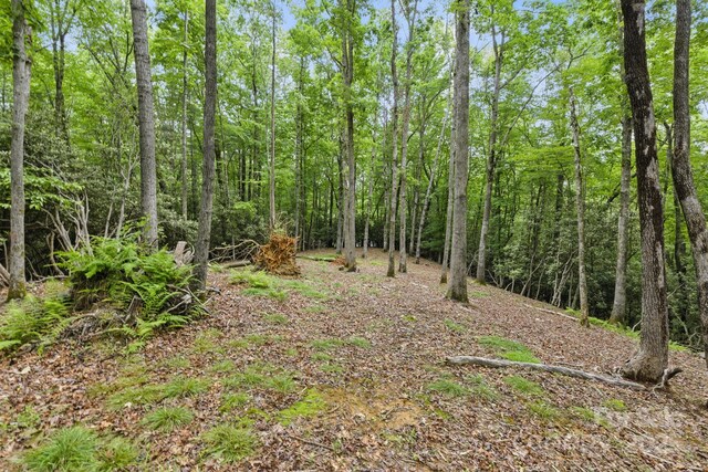 LOT1 Dundee Ln Unit 1 & 2, Pisgah Forest, NC 28768