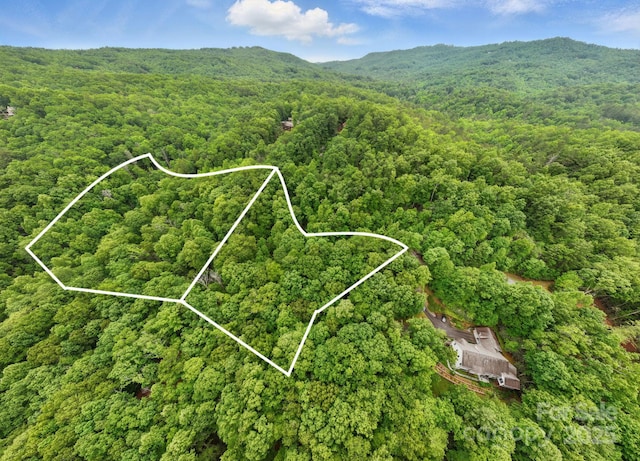 LOT1 Dundee Ln Unit 1 & 2, Pisgah Forest, NC 28768