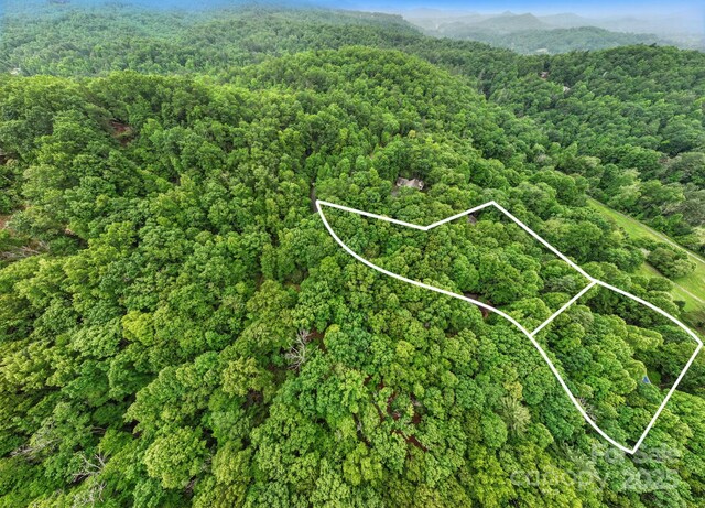 LOT1 Dundee Ln Unit 1 & 2, Pisgah Forest, NC 28768