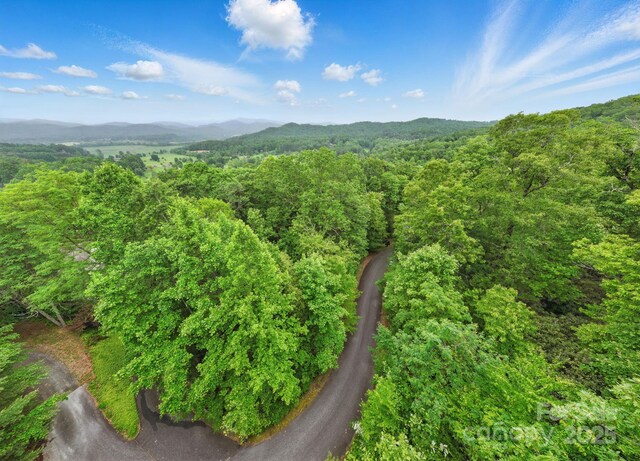 LOT1 Dundee Ln Unit 1 & 2, Pisgah Forest, NC 28768