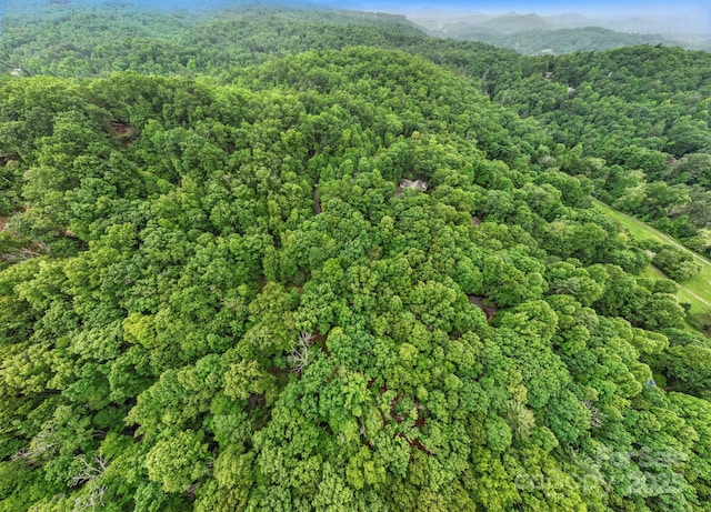 LOT1 Dundee Ln Unit 1 & 2, Pisgah Forest, NC 28768