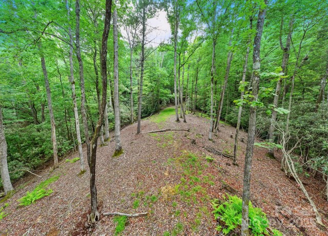 LOT1 Dundee Ln Unit 1 & 2, Pisgah Forest, NC 28768