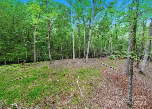 LOT1 Dundee Ln Unit 1 & 2, Pisgah Forest, NC 28768
