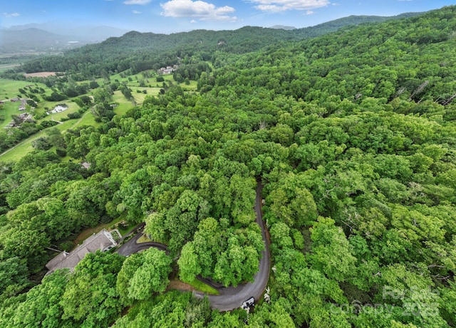 LOT1 Dundee Ln Unit 1 & 2, Pisgah Forest, NC 28768 - photo 2