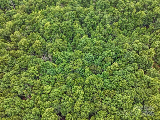 LOT1 Dundee Ln Unit 1 & 2, Pisgah Forest, NC 28768 - photo 3
