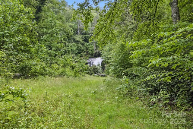 LOT1 Dundee Ln Unit 1 & 2, Pisgah Forest, NC 28768 - photo 4