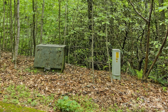 LOT1 Dundee Ln Unit 1 & 2, Pisgah Forest, NC 28768 - photo 6