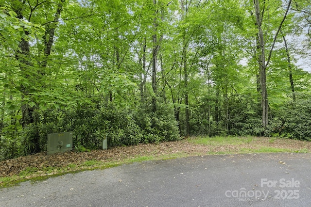 LOT1 Dundee Ln Unit 1 & 2, Pisgah Forest, NC 28768 - photo 7
