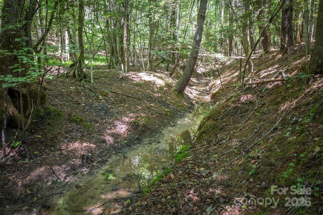 2243 Cottage Park Rd, Morganton, NC 28655 - photo 8