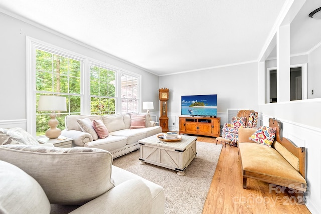 120 Labans Ln, Lincolnton, NC 28092 - living area with light wood finished floors, a wainscoted wall, healthy amount of natural light, and ornamental molding