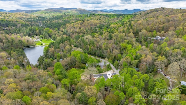 1081 Hicks Rd Unit B, Highlands, NC 28741 - drone / aerial view of a forest and a water and mountain view