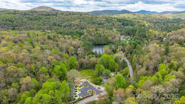 1081 Hicks Rd Unit B, Highlands, NC 28741 - aerial view of a heavily wooded area and a mountain backdrop