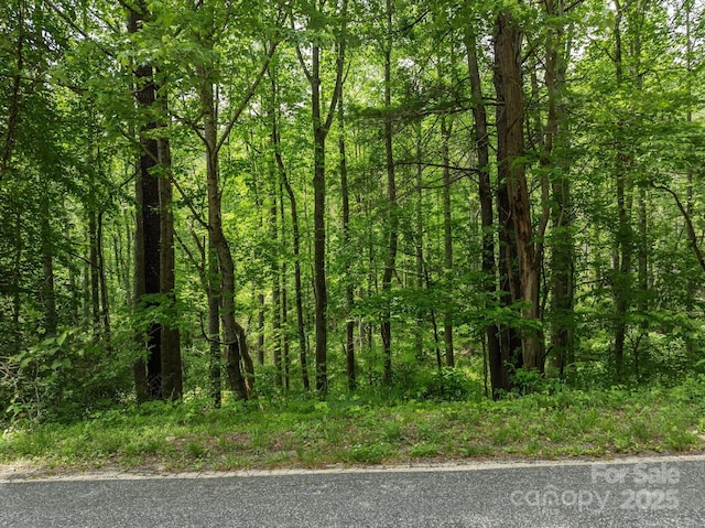 99999 Moody Cove Rd Unit 1, Weaverville, NC 28787