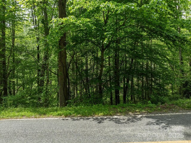99999 Moody Cove Rd Unit 1, Weaverville, NC 28787