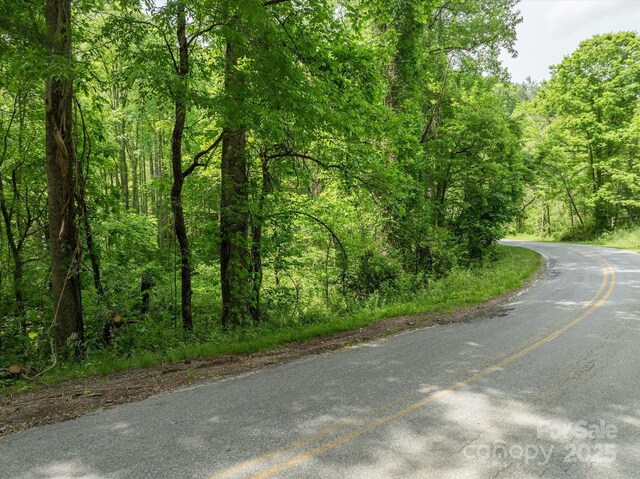 99999 Moody Cove Rd Unit 1, Weaverville, NC 28787