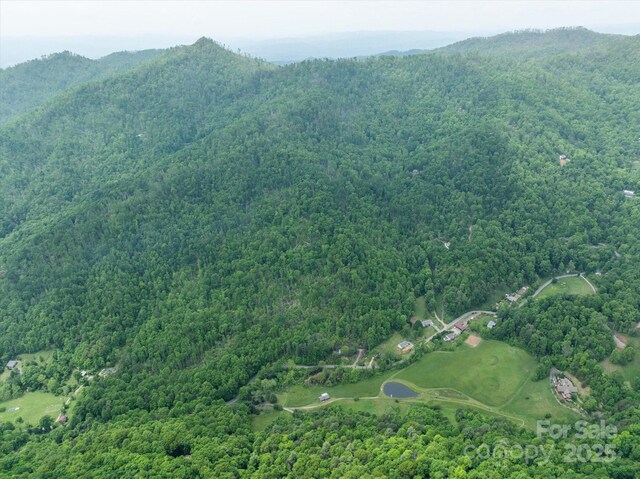 99999 Moody Cove Rd Unit 1, Weaverville, NC 28787