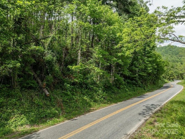 99999 Moody Cove Rd Unit 2, Weaverville, NC 28787