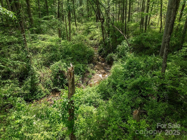 99999 Moody Cove Rd Unit 2, Weaverville, NC 28787