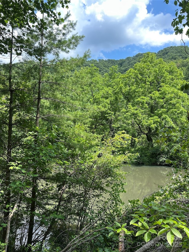 99999 Moody Cove Rd Unit 2, Weaverville, NC 28787