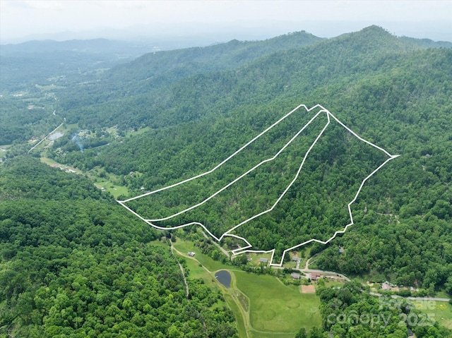 99999 Moody Cove Rd Unit 3, Weaverville, NC 28787