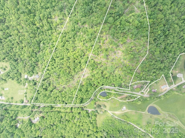 99999 Moody Cove Rd Unit 3, Weaverville, NC 28787