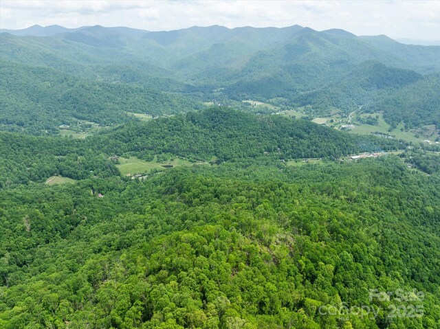 99999 Moody Cove Rd Unit 3, Weaverville, NC 28787