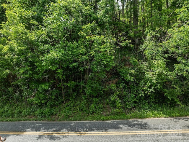 99999 Moody Cove Rd Unit 3, Weaverville, NC 28787