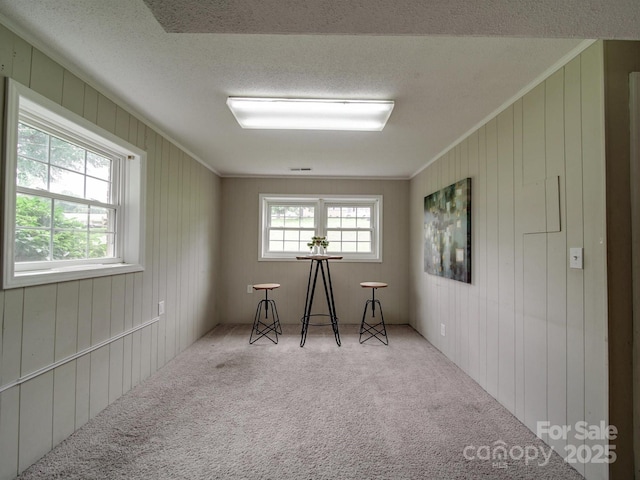 2666 Hill Ln, Gastonia, NC 28054 - spare room with carpet, crown molding, a textured ceiling, and wooden walls