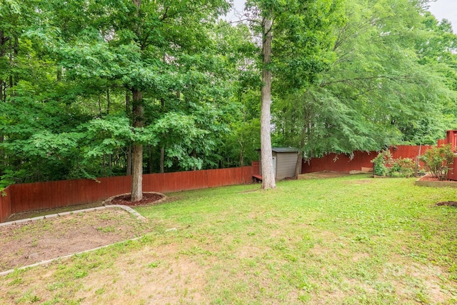 8120 Vermilion Dr, Charlotte, NC 28215 - view of yard