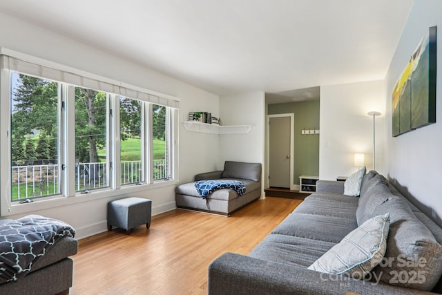 318 Old Leicester Hwy, Asheville, NC 28806 - living area with wood finished floors and baseboards
