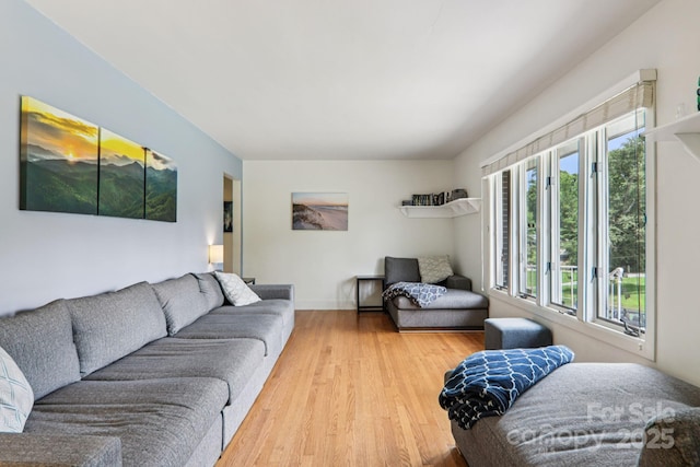318 Old Leicester Hwy, Asheville, NC 28806 - living area featuring healthy amount of natural light and wood finished floors